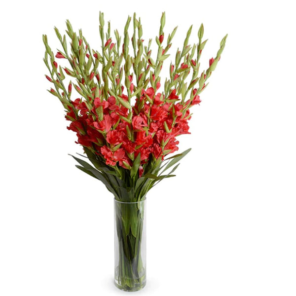 red gladiolus flower arrangement