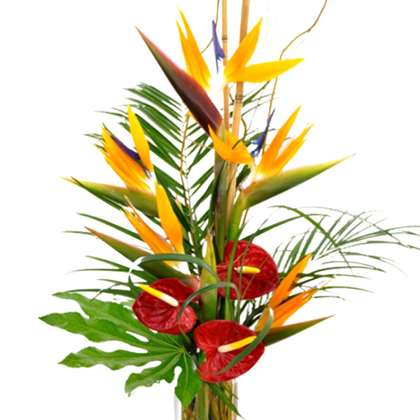 Tropical flowers delivery