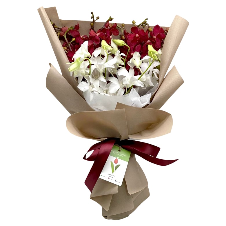 AZEERA Mixed Red and White Orchids Anniversary Flowers Heva Gifts