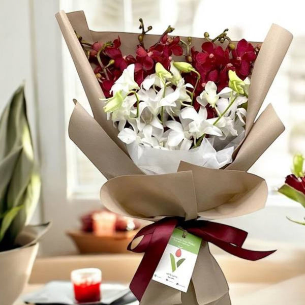 AZEERA Mixed Red and White Orchids