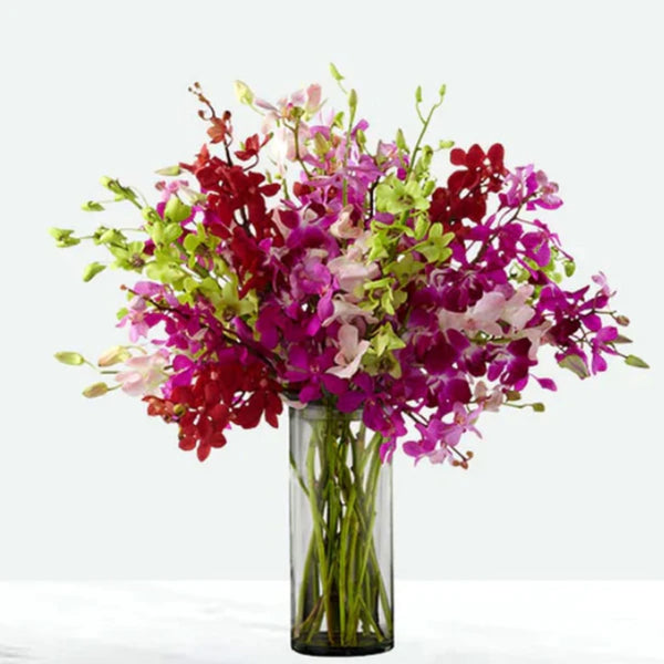 BLUSH IN PURPLE MIX ORCHIDS IN VASE