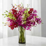 Blush in Purple mixed orchid vase arrangement housewarming flower delivery KL Heva Gifts