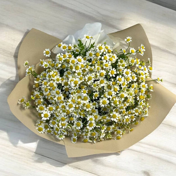 CHAMOMILE Flower Bouquet