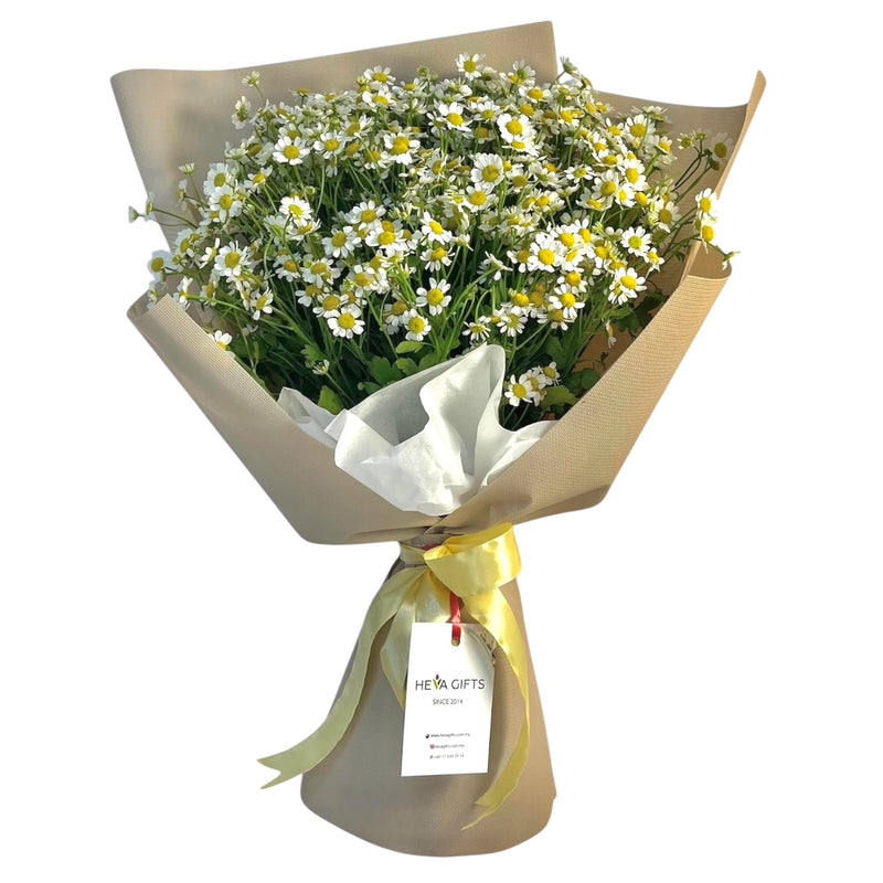 CHAMOMILE Delight Bouquet