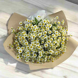 Chamomile fresh daisy bouquet friendship gift Klang Valley florist