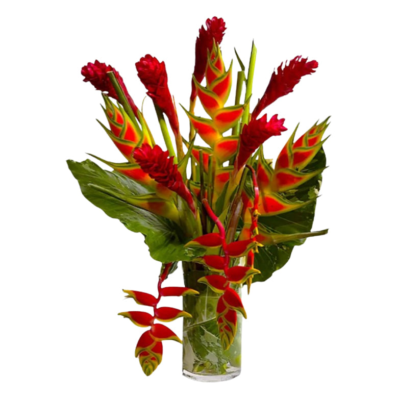 Tropical Flowers in Vase 