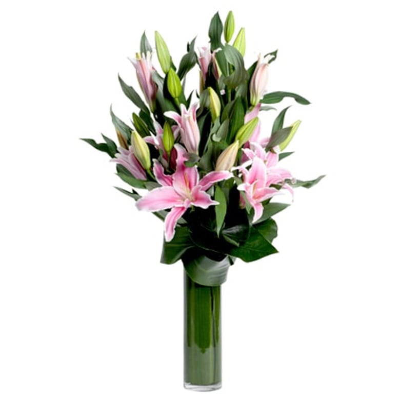 Pink Lily in Vase