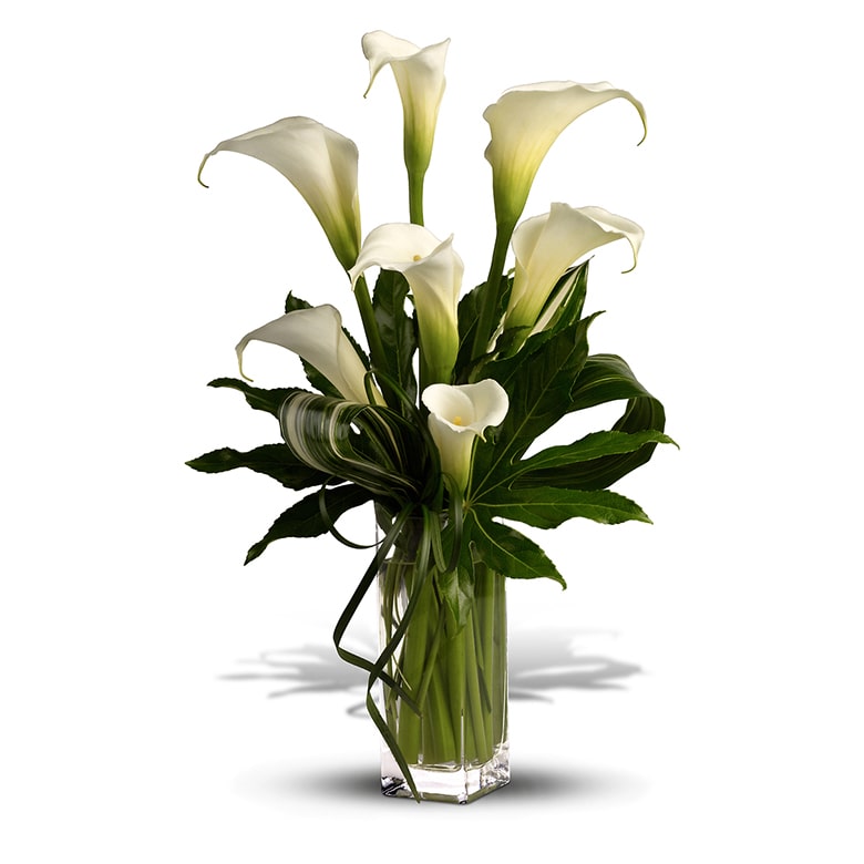 White calla lily in vase arrangement