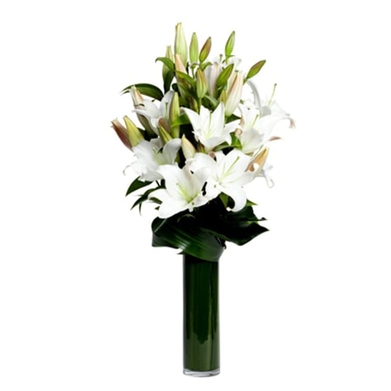 White Lily in Vase