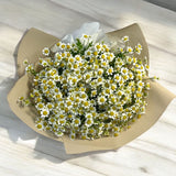 CHAMOMILE Delight Bouquet