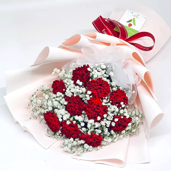 Carnation flowers for mothers