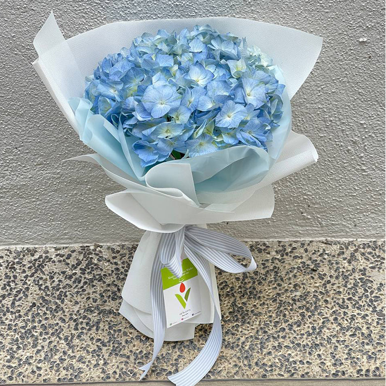 Blue hydrangea gift set