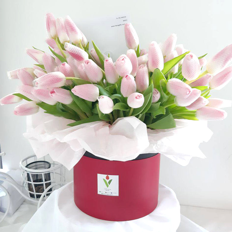 Luxury Tulip Delivery