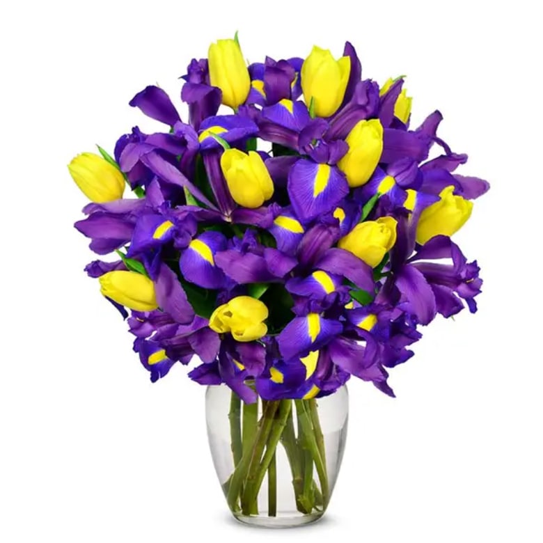 tulips and irises in vase