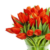 Luxury Tulips arrangements