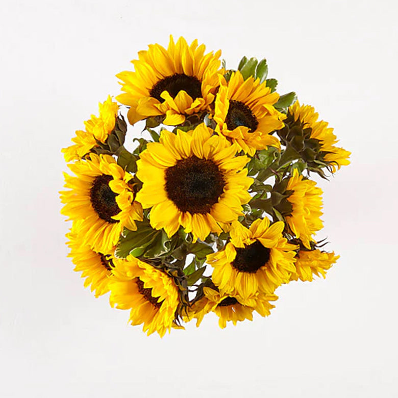 Fresh sunflower bouquet