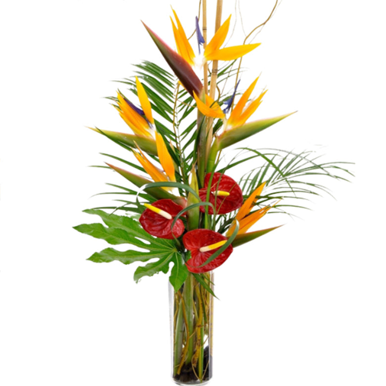 Tropical  flowers arrangement